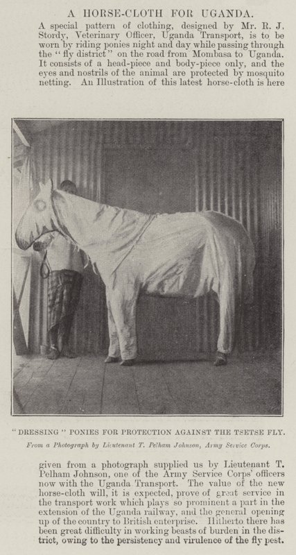 Habillage des poneys pour protection contre la mouche tsé-tsé - English Photographer