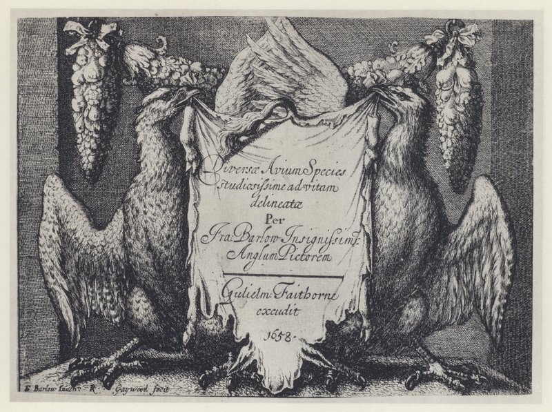 F Barlow, Diversae avium species, G Faithorne 1658 - English Photographer