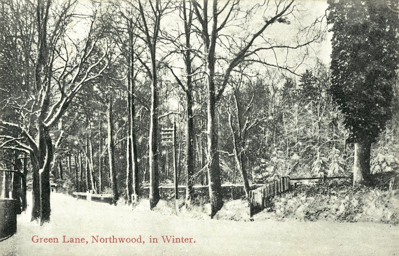Green Lane, Northwood (photo n/b) - English Photographer
