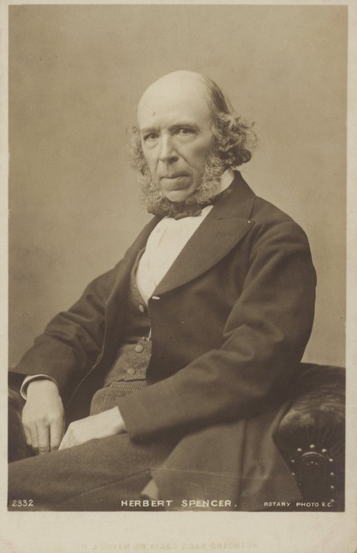 Herbert Spencer, philosophe, théoricien politique, biologiste et sociologue anglais - English Photographer