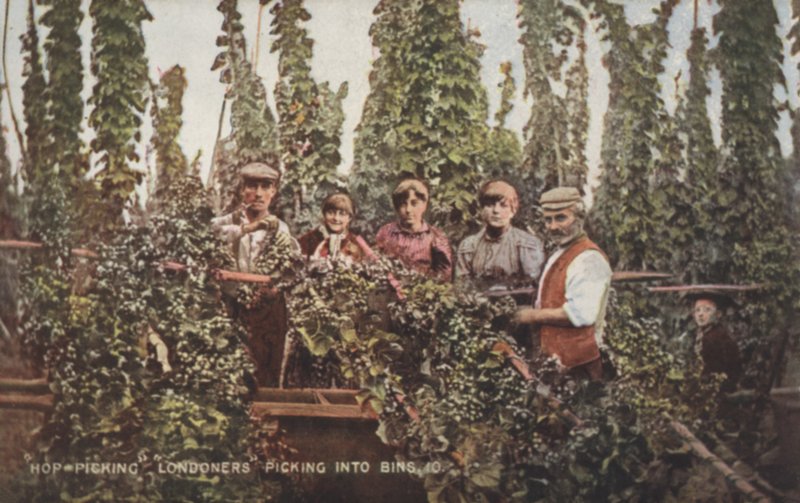 Cueilleurs de houblon (photo en couleur) - English Photographer