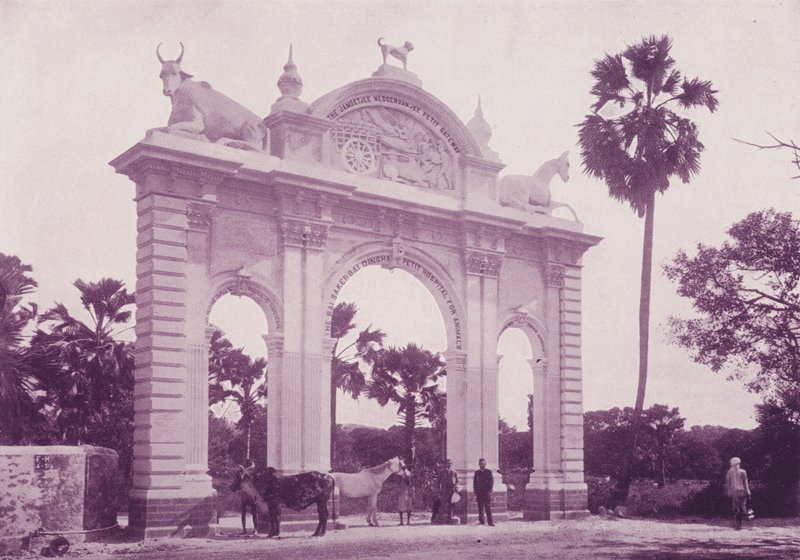Hôpital pour animaux, Bombay - English Photographer