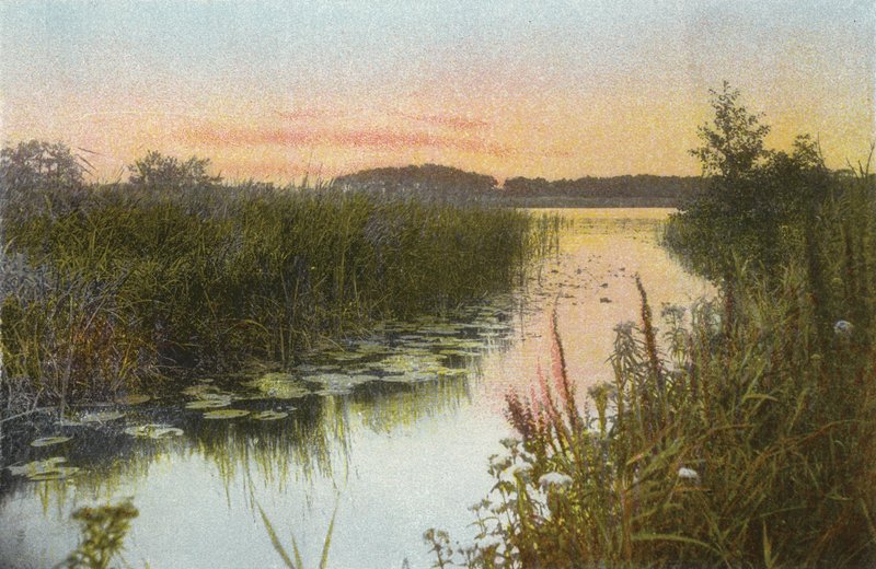 Hoveton Broad - English Photographer