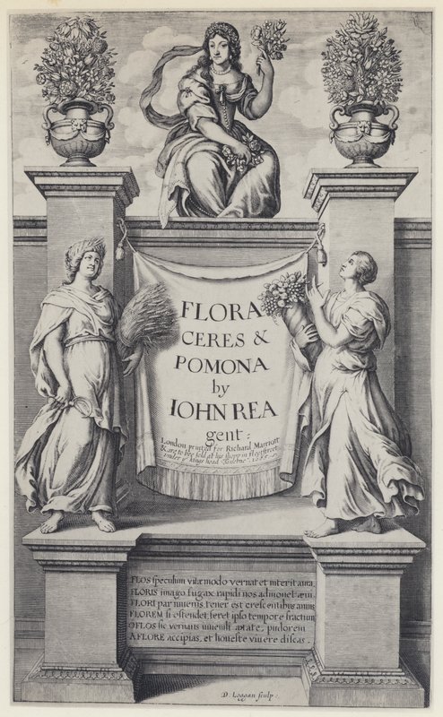 J Rea, Flora, Ceres et Pomona, R Marriott 1665 - English Photographer