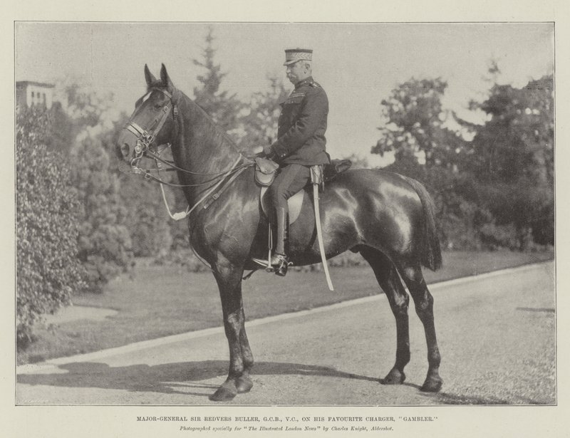 Major-Général Sir Redvers Buller, GCB, VC, sur son cheval préféré, Gambler - English Photographer