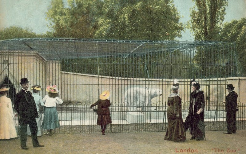 Visiteurs de l