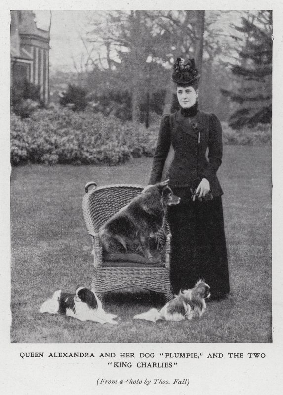Reine Alexandra avec son chien, Plumpie, et ses deux épagneuls King Charles - English Photographer
