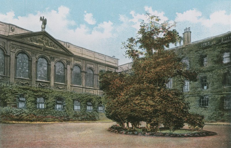 Queens College - English Photographer