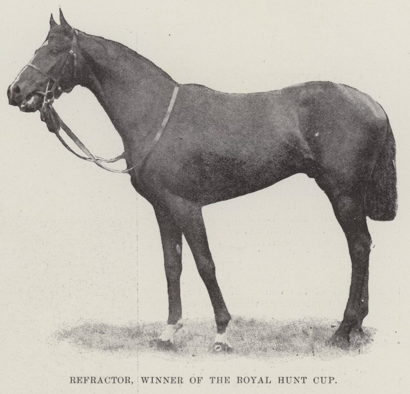 Refractor, vainqueur de la Royal Hunt Cup - English Photographer
