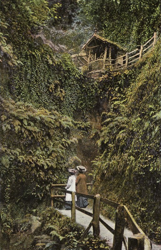Chine de Shanklin - English Photographer