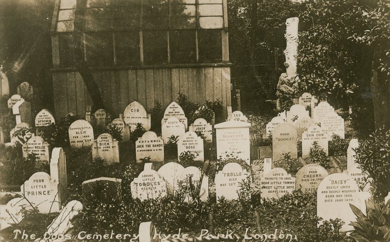 Cimetière des chiens, Hyde Park, Londres - English Photographer