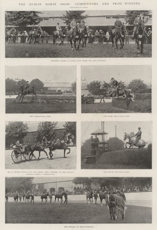 Le salon du cheval de Dublin, concurrents et lauréats - English Photographer