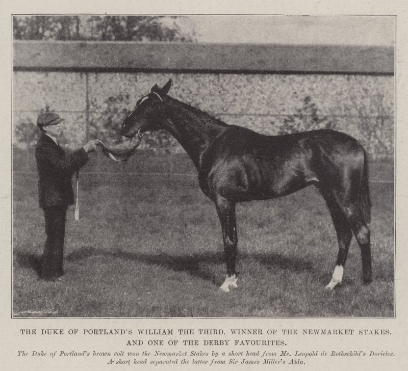 William le Troisième du duc de Portland, vainqueur des Newmarket Stakes et l