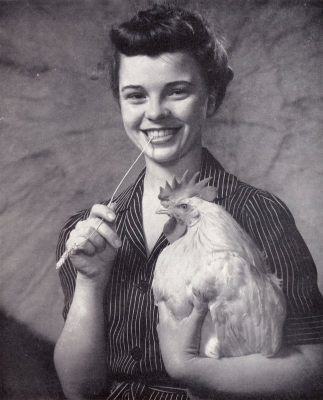La Fille du fermier - English Photographer