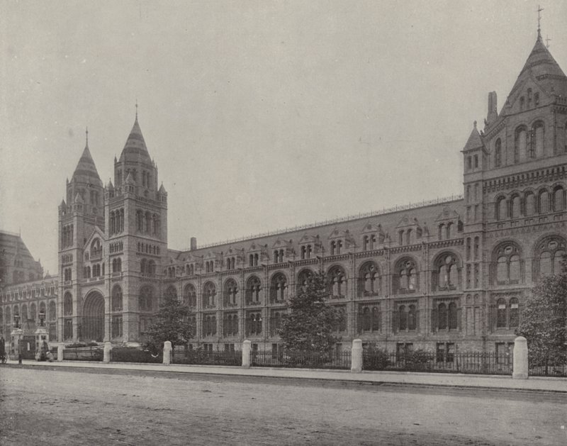 Le Musée d