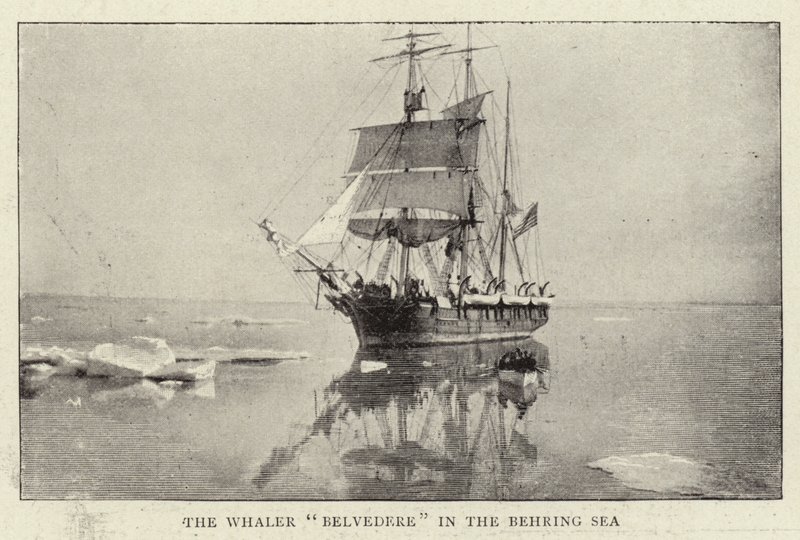 Le baleinier Belvedere dans la mer de Béring - English Photographer