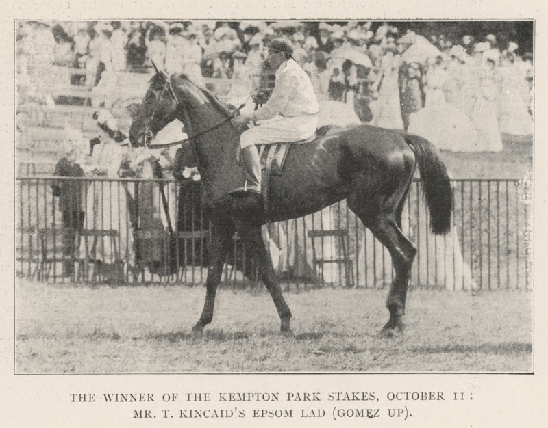 Le gagnant des Kempton Park Stakes, 11 octobre, Epsom Lad de M. T Kincaid (Gomez en selle) - English Photographer