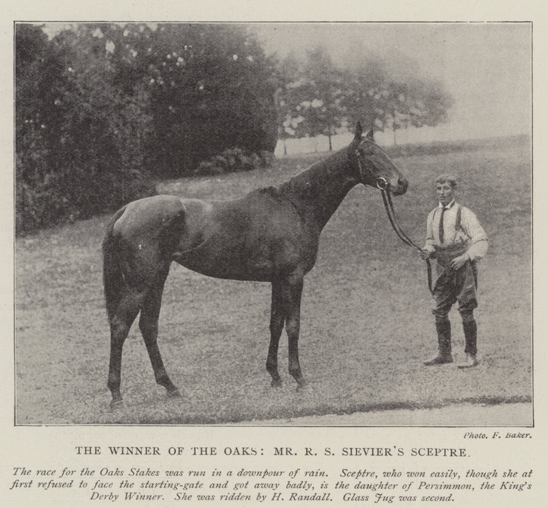 Le vainqueur des Oaks, Sceptre de M. R S Sievier - English Photographer
