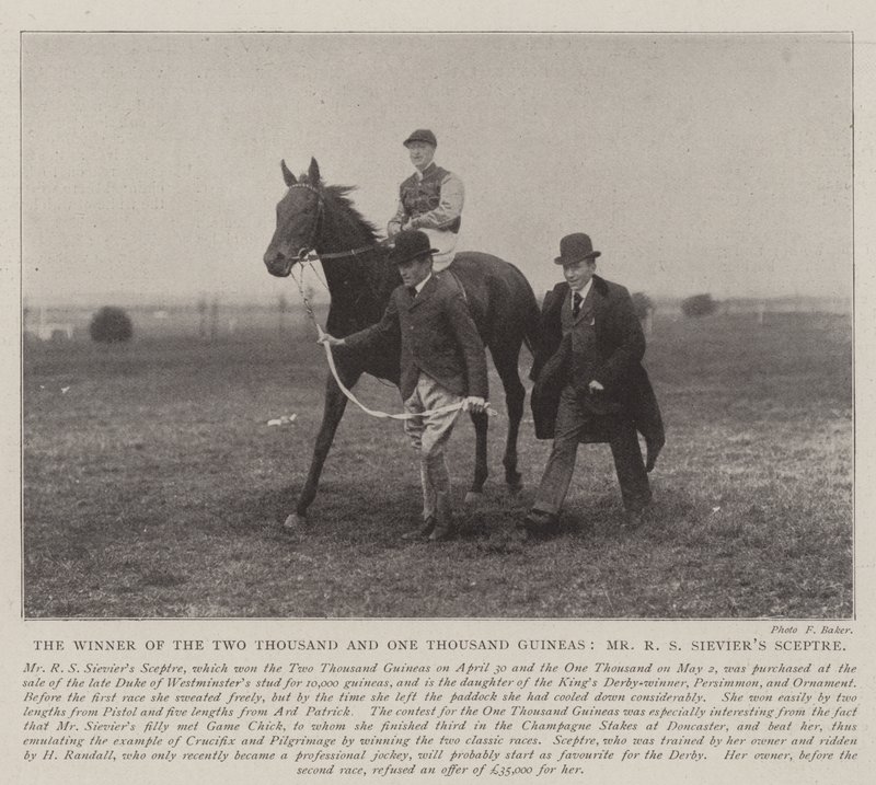Le vainqueur des Two Thousand et One Thousand Guineas, Sceptre de M. R. S. Sievier - English Photographer