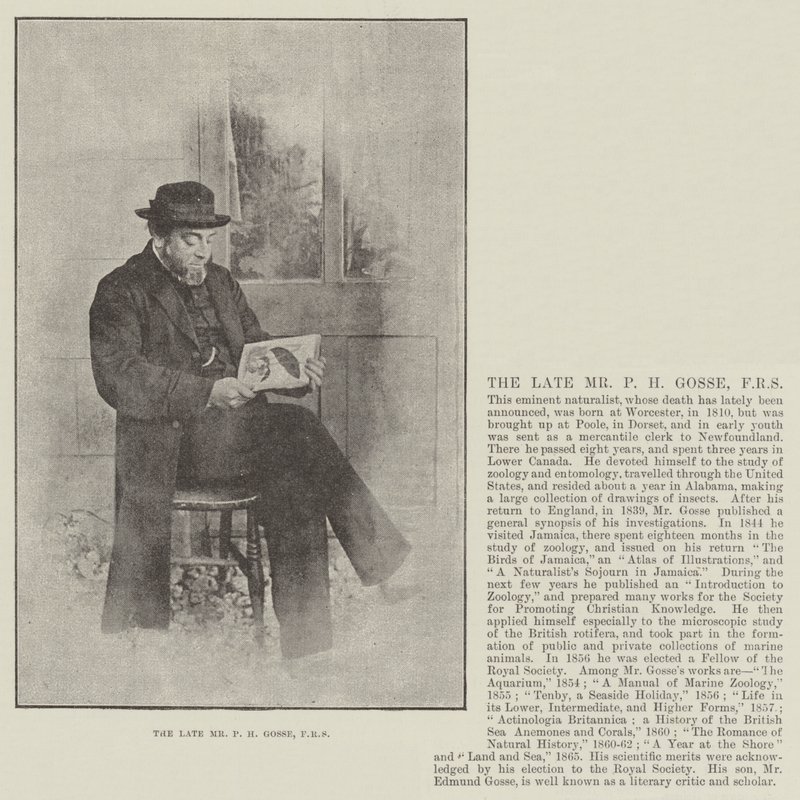 Feu M. P H Gosse, FRS - English Photographer
