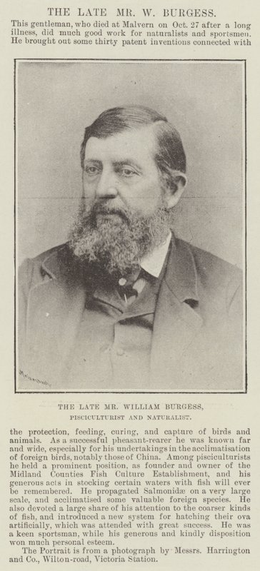 Feu M. William Burgess, pisciculteur et naturaliste - English Photographer