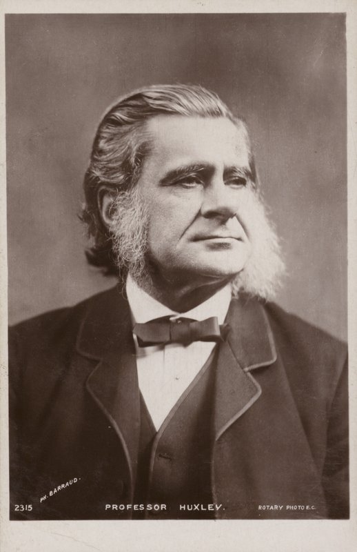 Thomas Henry Huxley (1825-1895), biologiste anglais - English Photographer