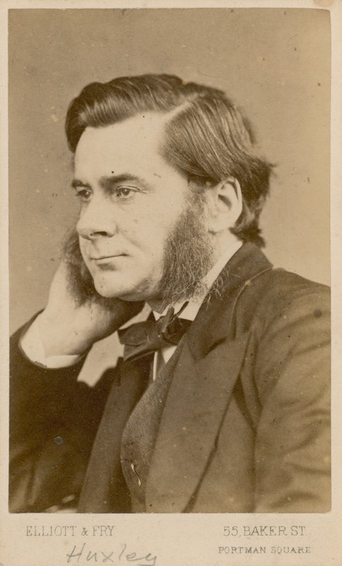 Thomas Henry Huxley - English Photographer