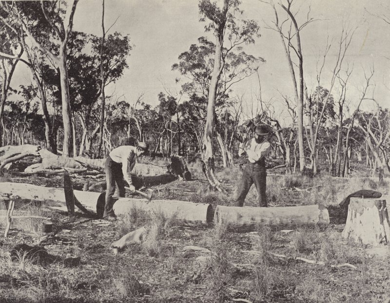 Fendeurs de bois au travail - English Photographer