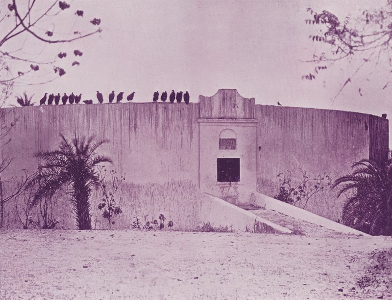 Tour du Silence, Bombay - English Photographer