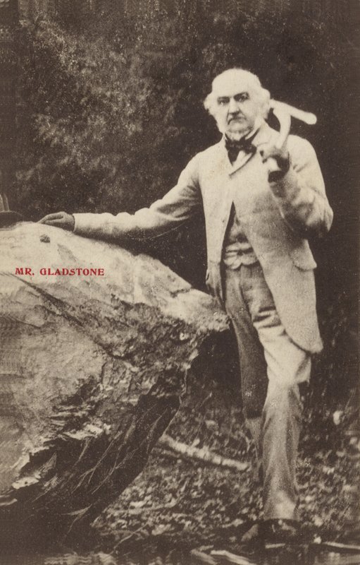 William Ewart Gladstone - English Photographer