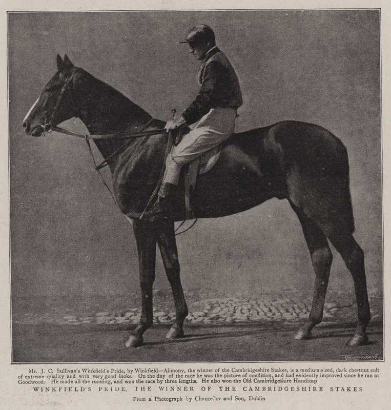 Winkfields Pride, le vainqueur des Cambridgeshire Stakes - English Photographer