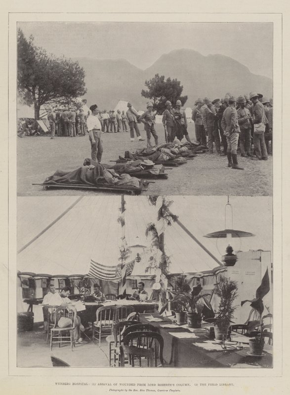 Hôpital de Wynberg, arrivée des blessés de la colonne de Lord Roberts, la bibliothèque de campagne - English Photographer