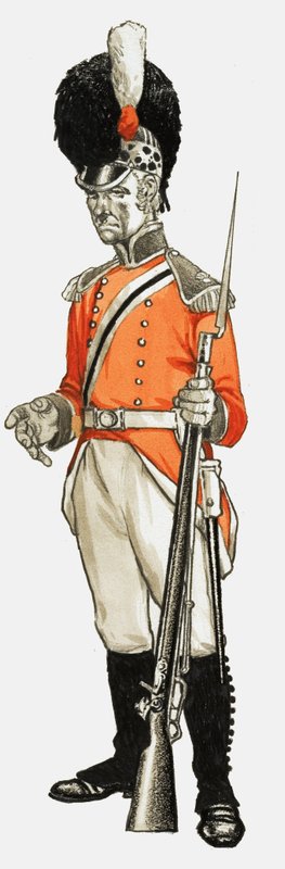 92e. Hon. Artillery Co. Infantry Div. Privé 1803 - English School