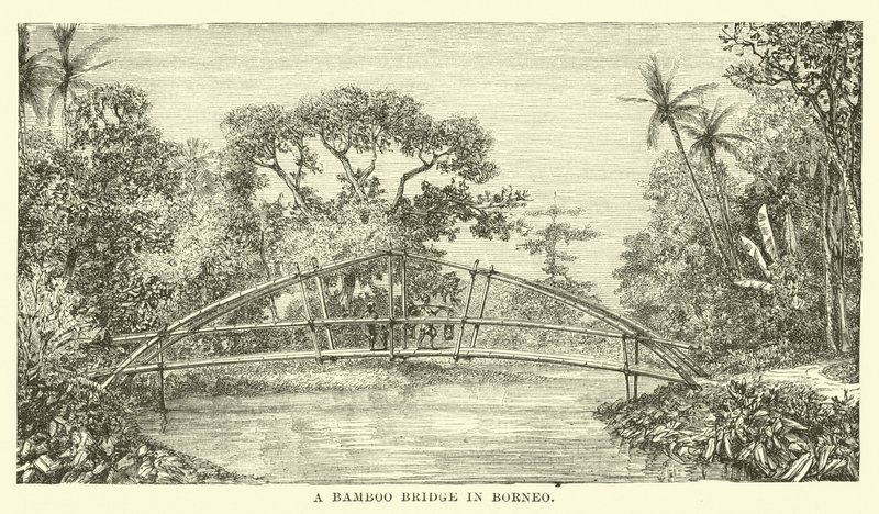 Pont en bambou à Bornéo - English School