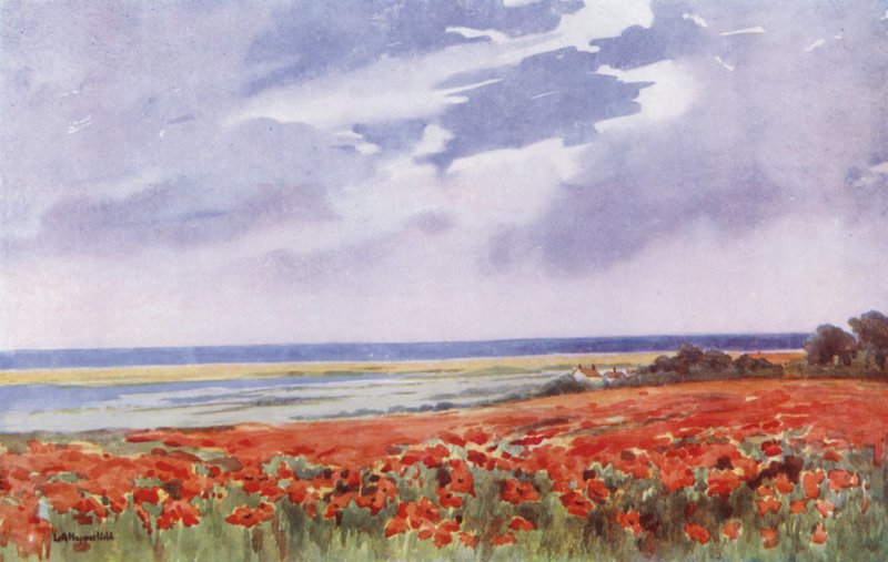 Un champ de coquelicots (lithographie couleur) - English School