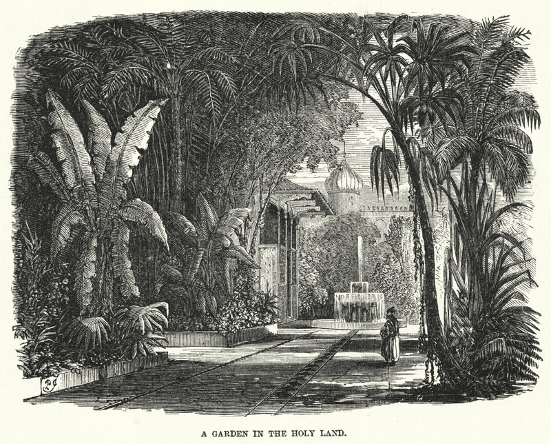 Un jardin en Terre Sainte (gravure) - English School