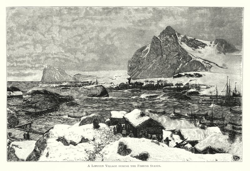Un village des Lofoten pendant la saison de pêche - English School