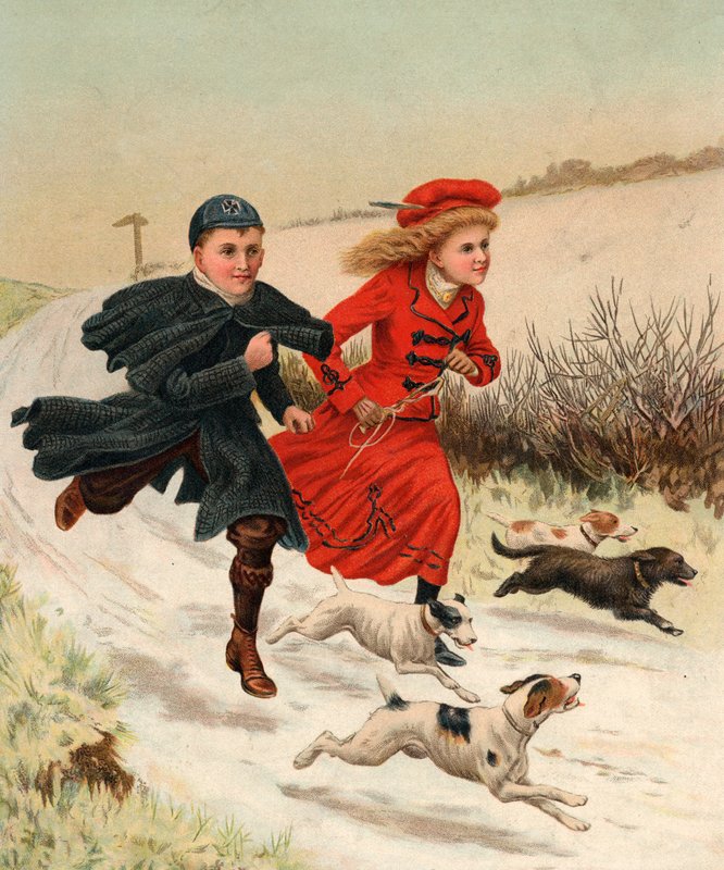 Une course avec les chiens - English School
