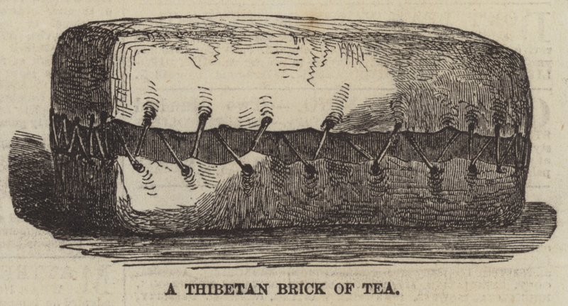 Une brique de thé tibétaine - English School
