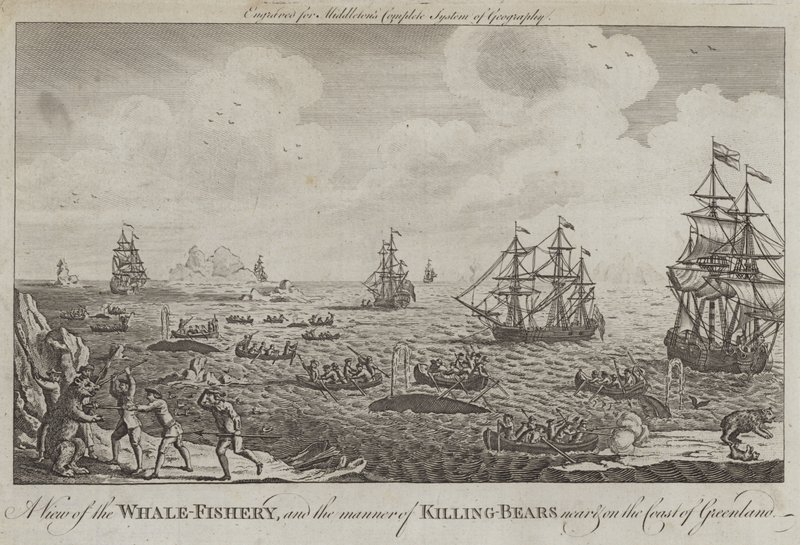 Vue de la pêche à la baleine et de la manière de tuer les ours près et sur la côte du Groenland - English School