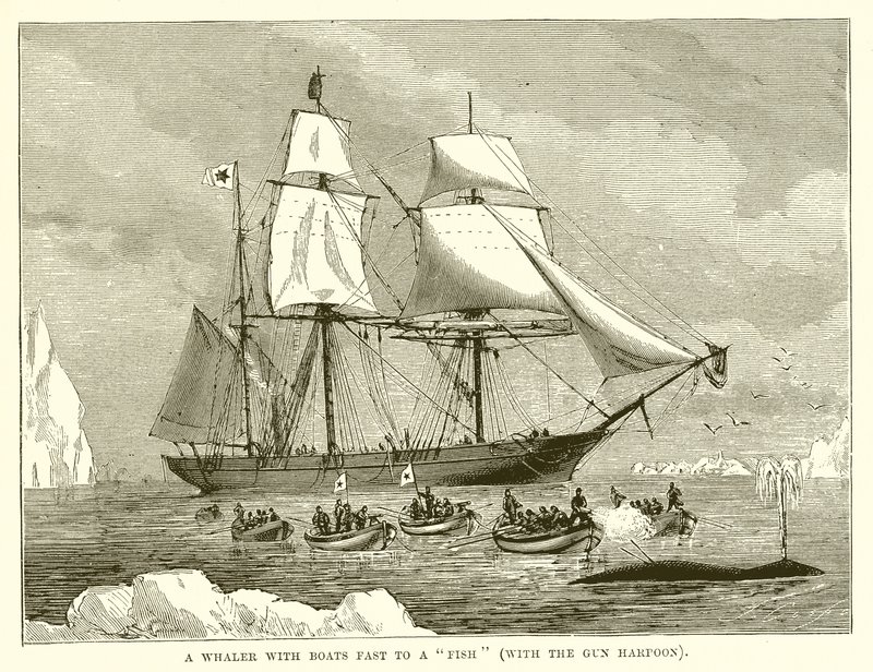 Un baleinier avec des bateaux attachés à un poisson (avec le harpon à canon) - English School