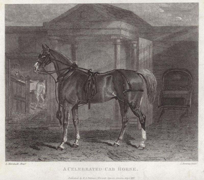 Un cheval de fiacre célèbre - English School