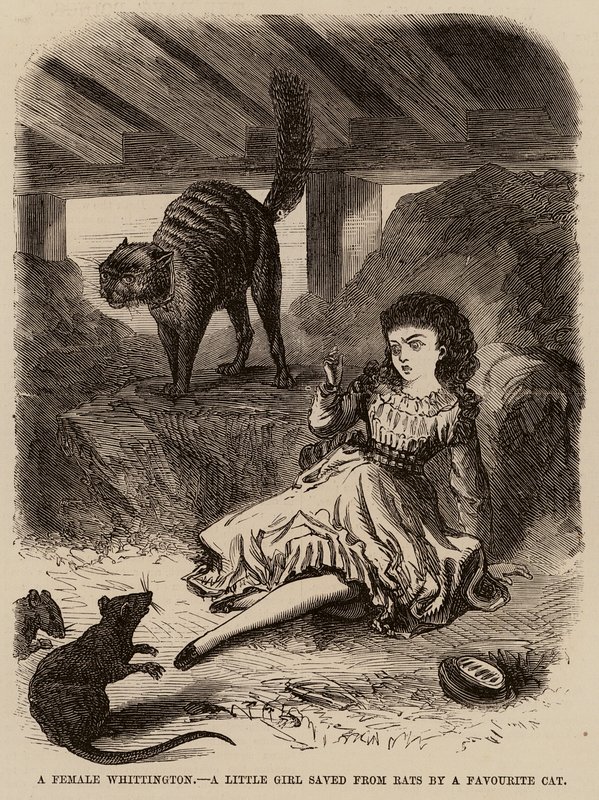 Une Whittington féminine, une petite fille sauvée des rats par un chat favori - English School
