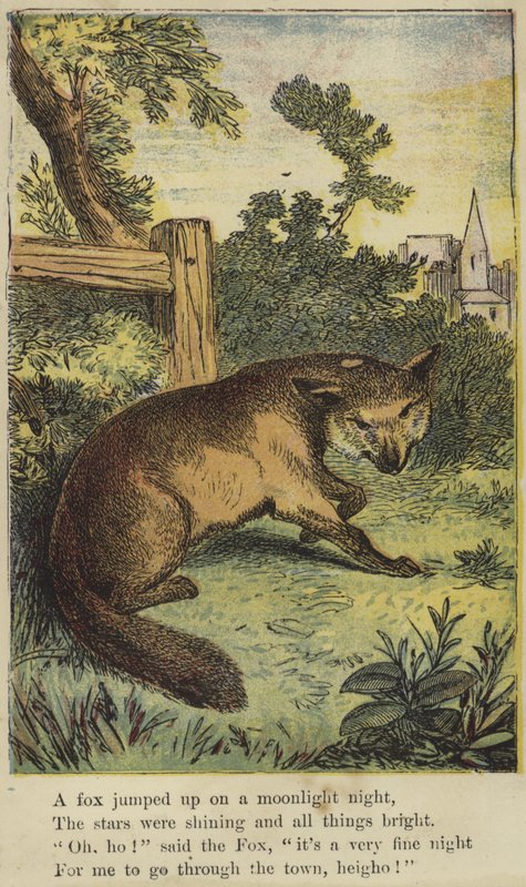 Un renard a sauté par une nuit de clair de lune - English School