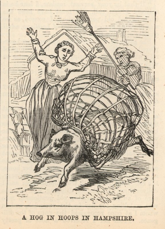 Un cochon en cerceaux dans le Hampshire - English School