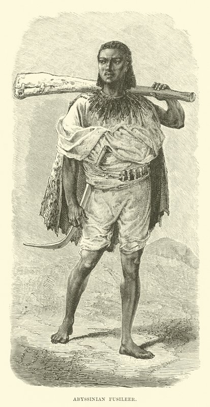Fusilier abyssinien - English School