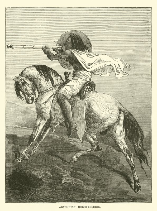 Cavalier abyssinien - English School
