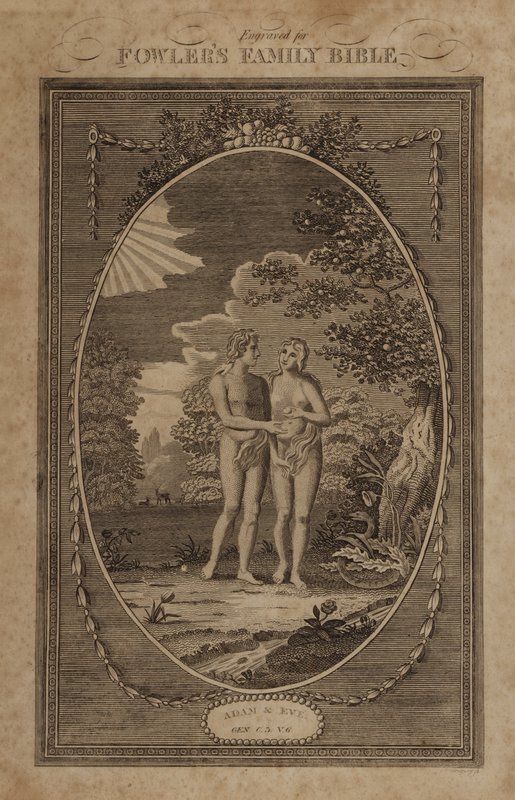 Adam et Ève, Genèse, Chapitre 3, Verset 6 - English School