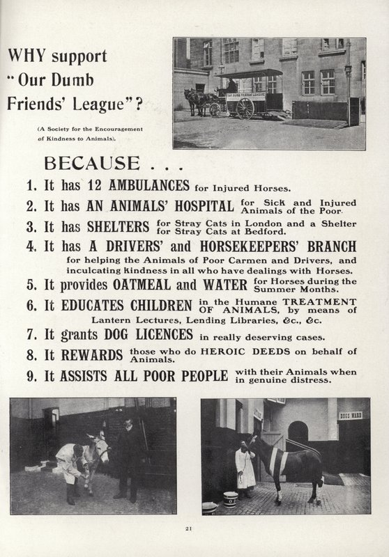 Publicité pour la Ligue de Nos Amis Muets - English School