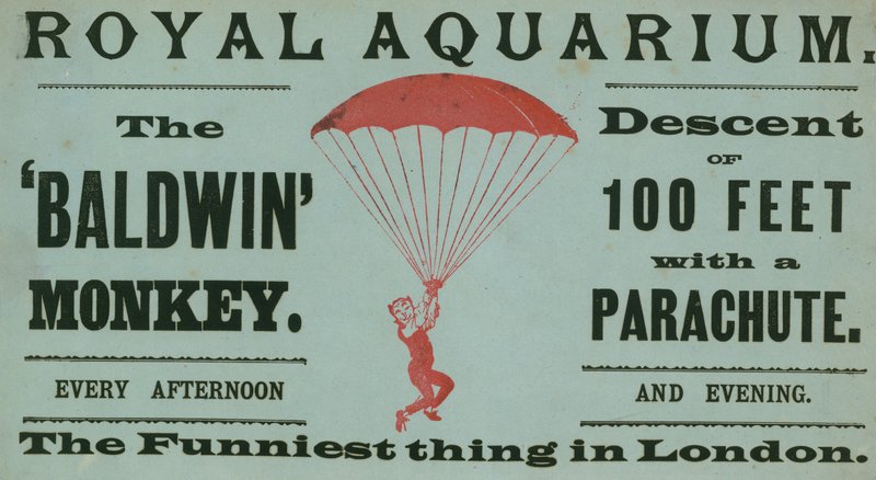Publicité pour le singe Baldwin - English School